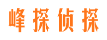 汝州市场调查